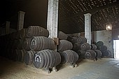 Jerez de la Frontera, Sherry bodega